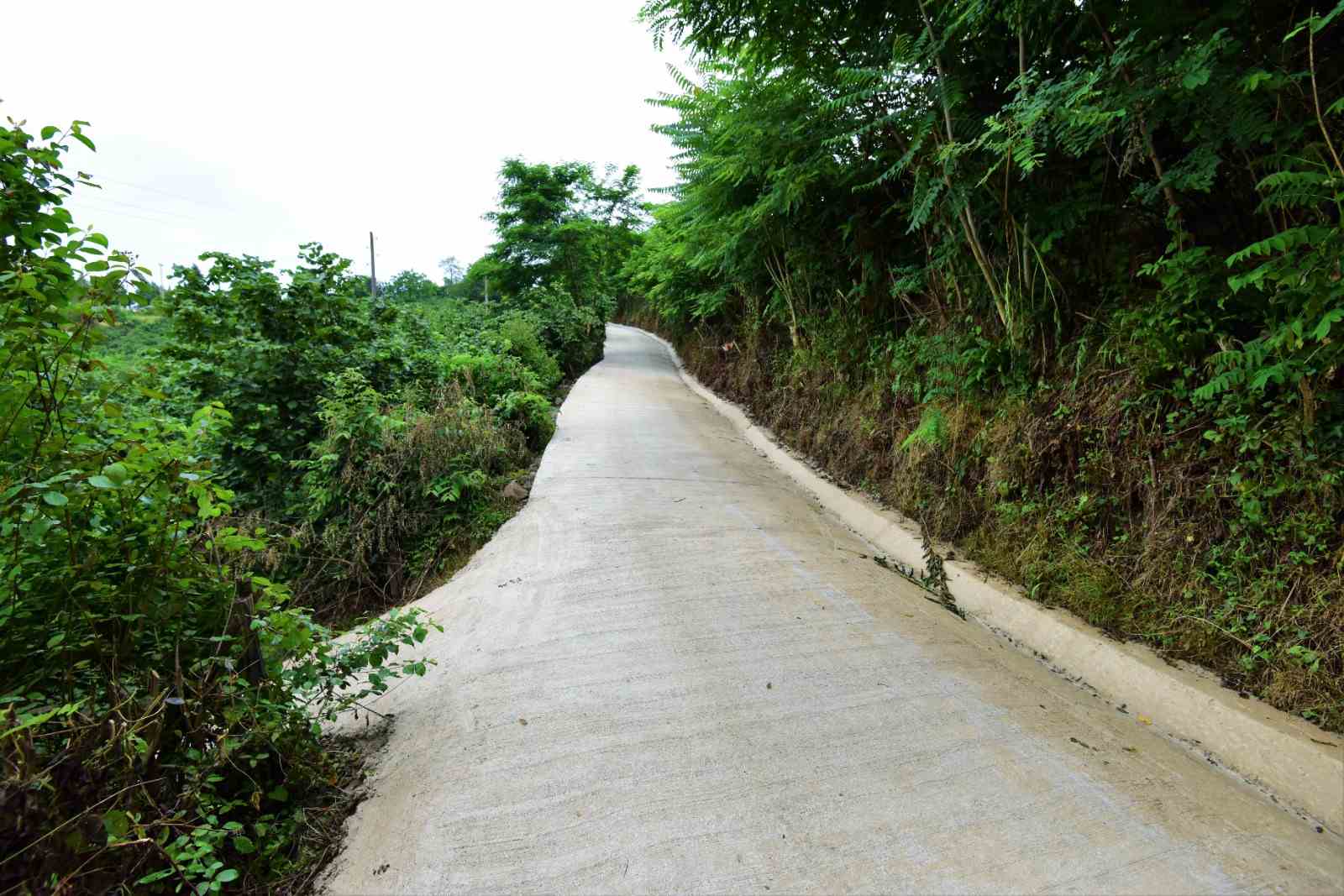 ALTINORDU'DAN YOL YATIRIMLARI